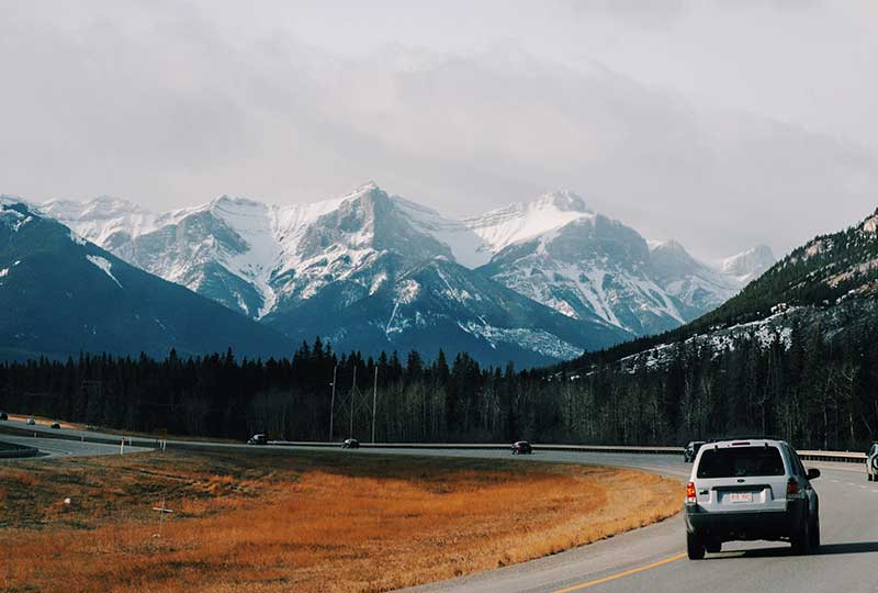 Canadian Forest