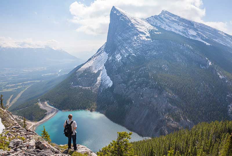 Canadian Forest